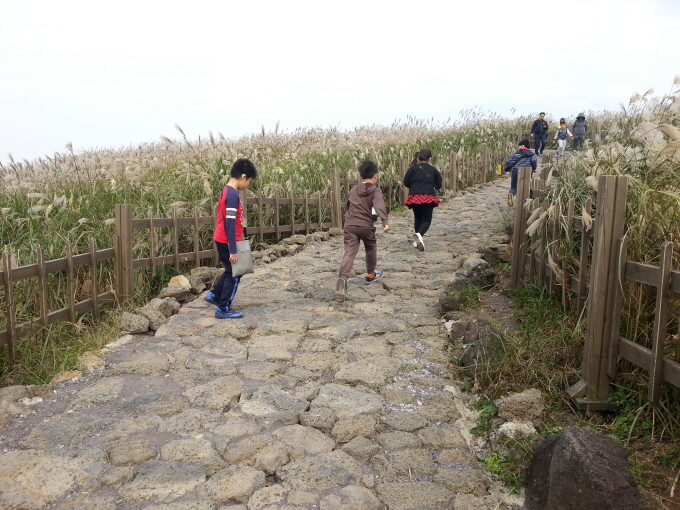 제주도 수학여행- 초3 산굼부리-단체