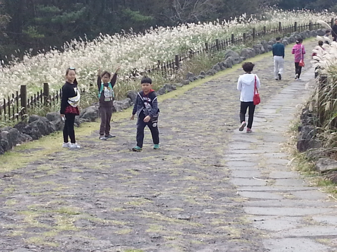 제주도 수학여행- 초3 산굼부리-단체