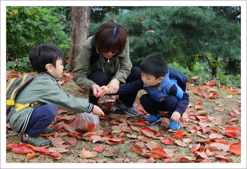 낙엽을 주우며