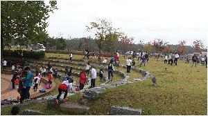 20161021_130321.jpg
