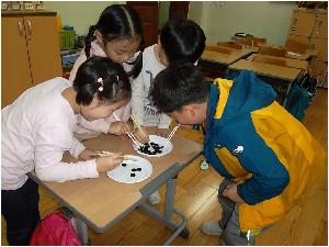 사본 -SAM_4937.jpg