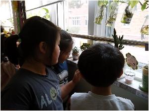 사본 -SAM_4875.jpg