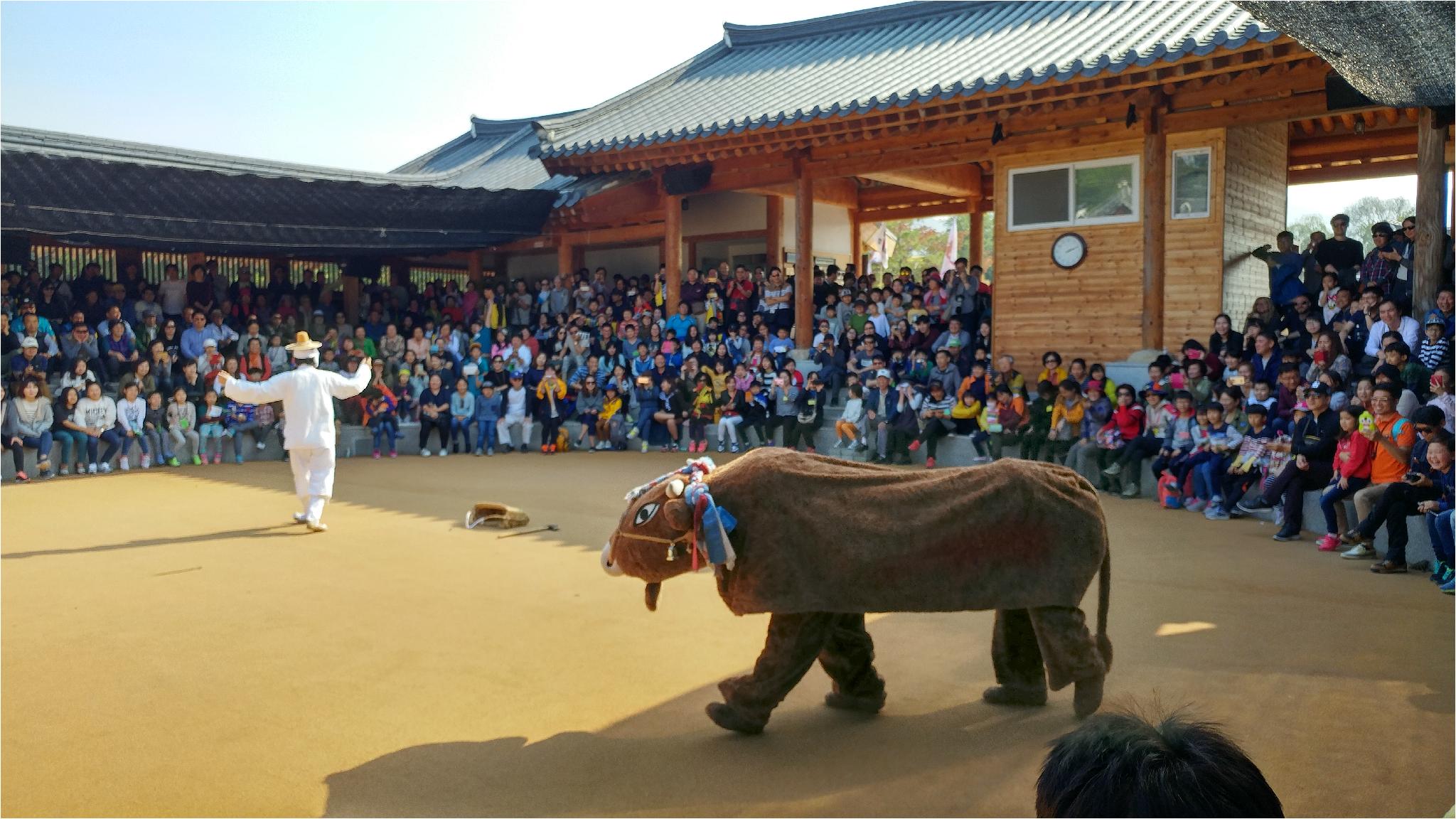 2016년 솔밭초등학교 안동하회마을 문화체험행사