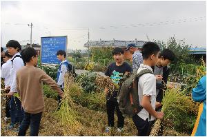 20161006 1학년 농직업체험학습(여주 오감도토리 녹색 체험마을) (24).JPG