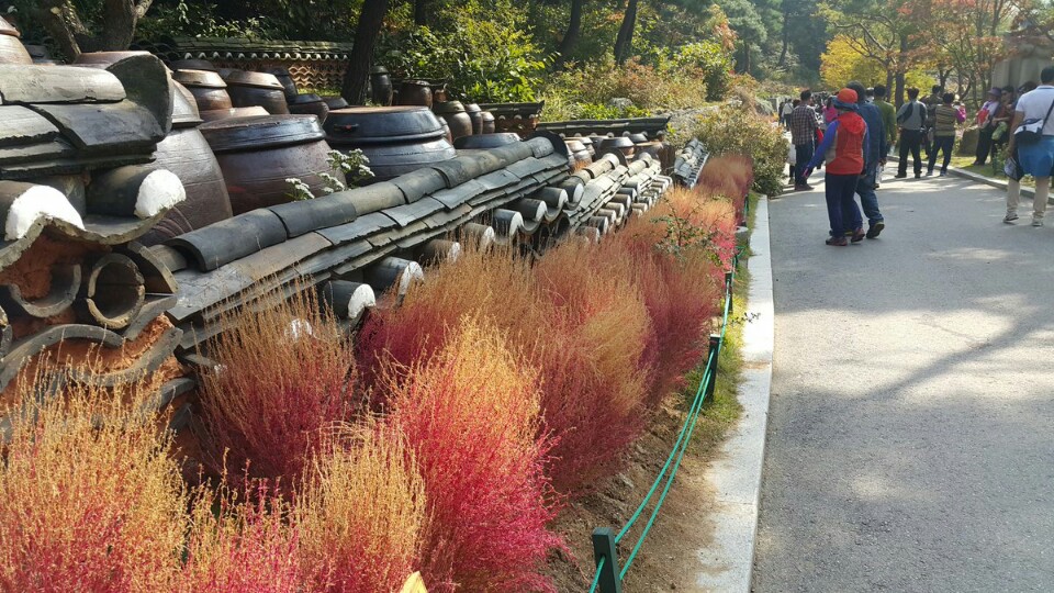 KakaoTalk_20161031_184015858