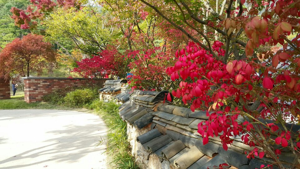 KakaoTalk_20161031_184016464
