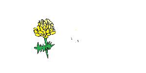 오규민.png