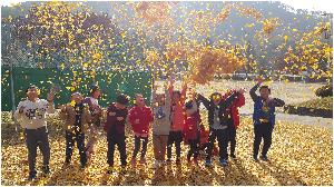 20161104_140955(0).jpg