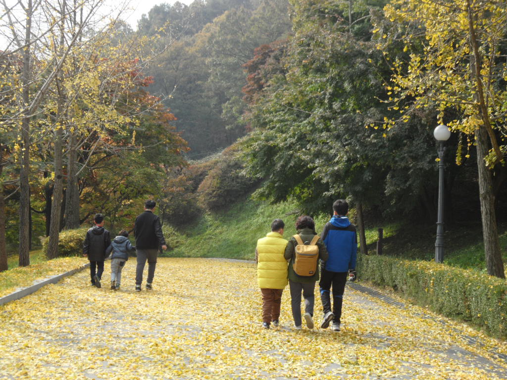 국립청주박물관