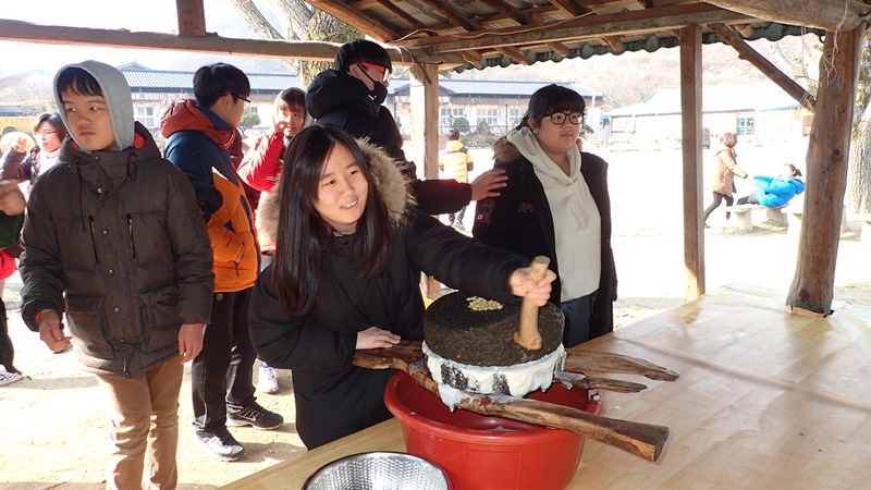 두부 만들기 위해 맷돌로 콩갈기