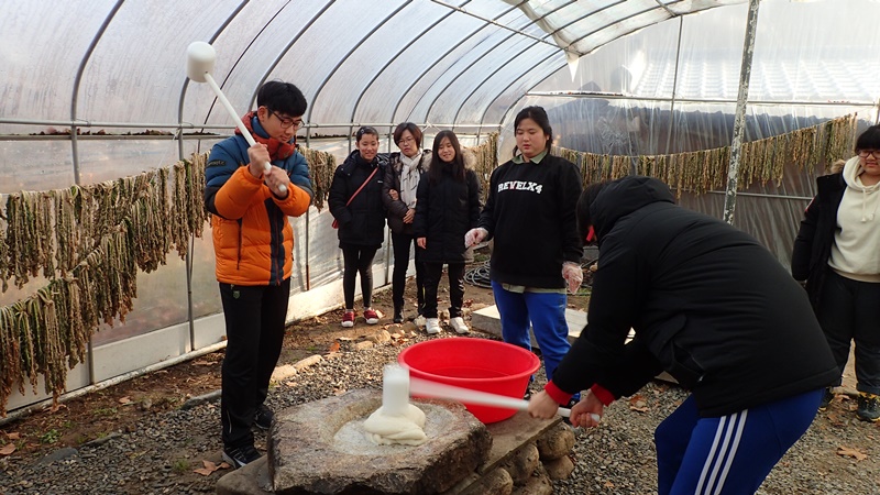 인절미를 만들기 위해 찹쌀 반죽 떡치기