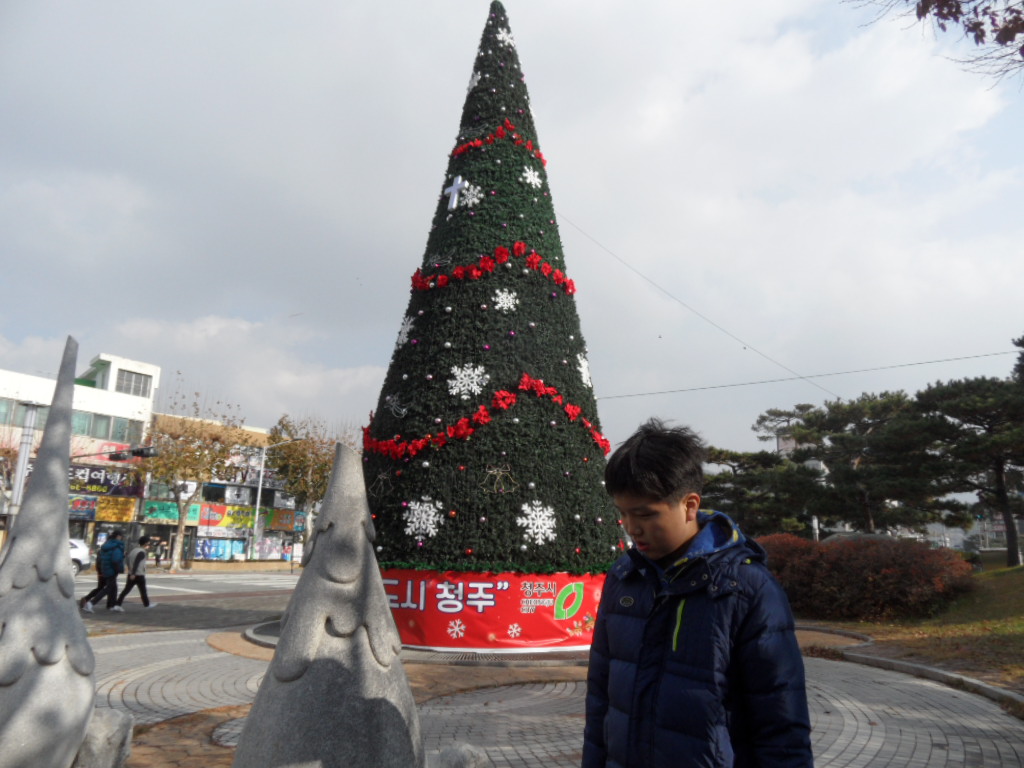 무심천 갈대밭과 식당이용하기