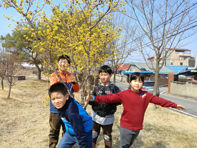 놀이터 산수유꽃앞에서-초3단체