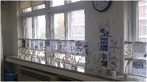 20170324_155845.jpg