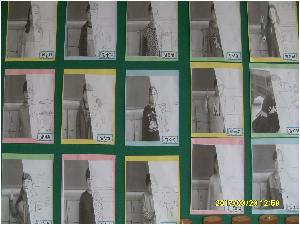 SDC13471.JPG