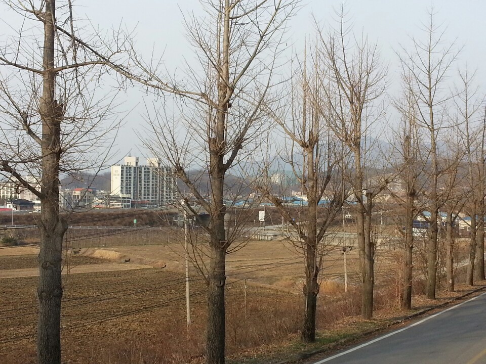 우리마을 풍경