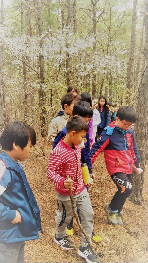 매봉산등산.jpg