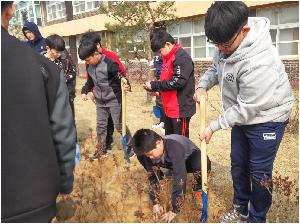 20170328_102548_HDR.jpg