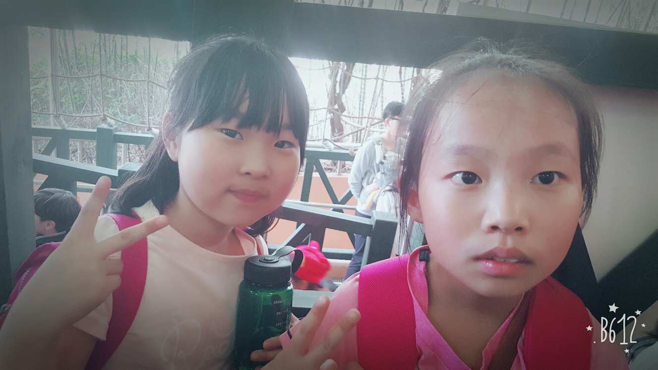 B612_20170426_133438_resized