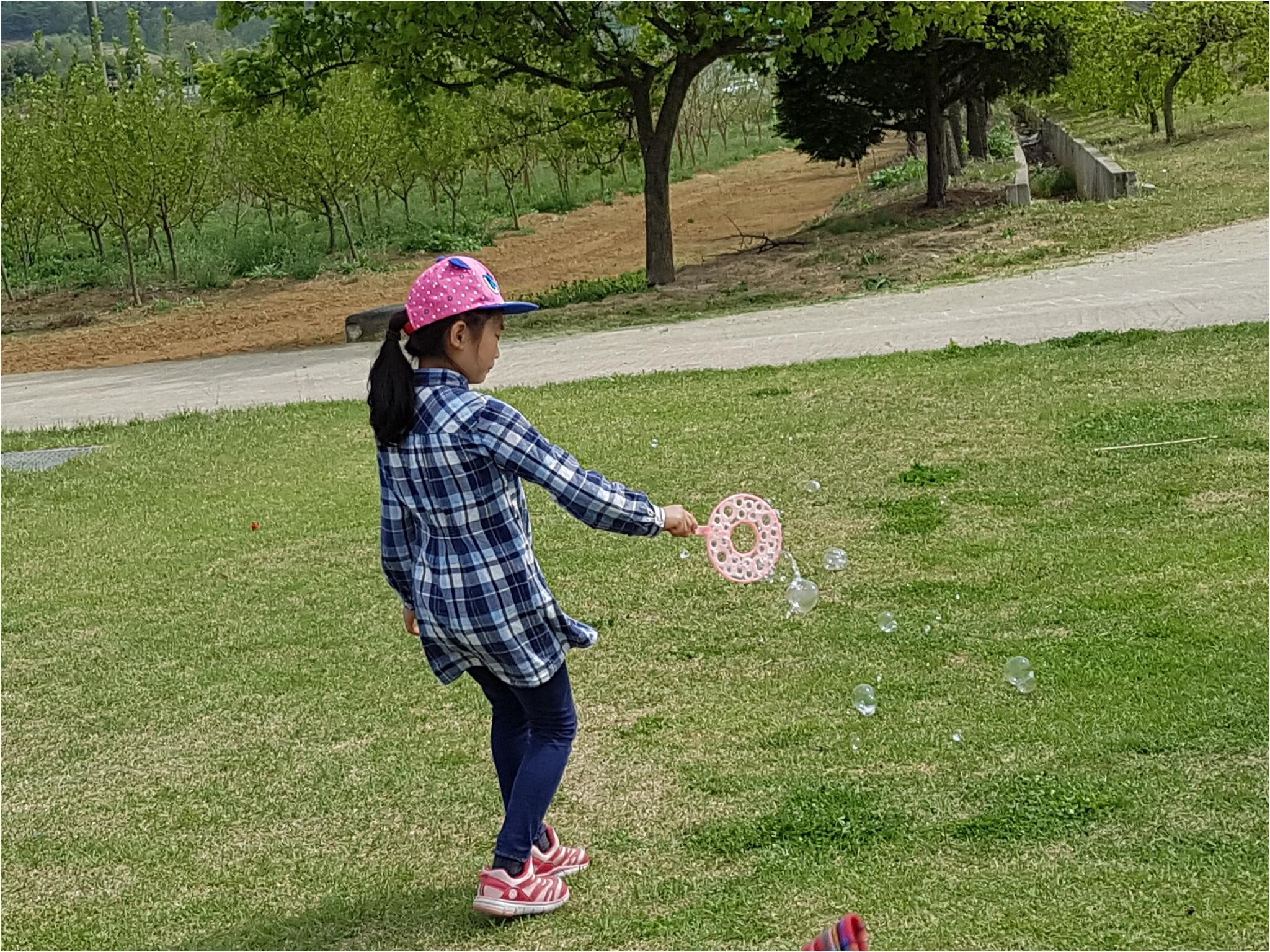 1학기 현장체험학습(야외 신체놀이)