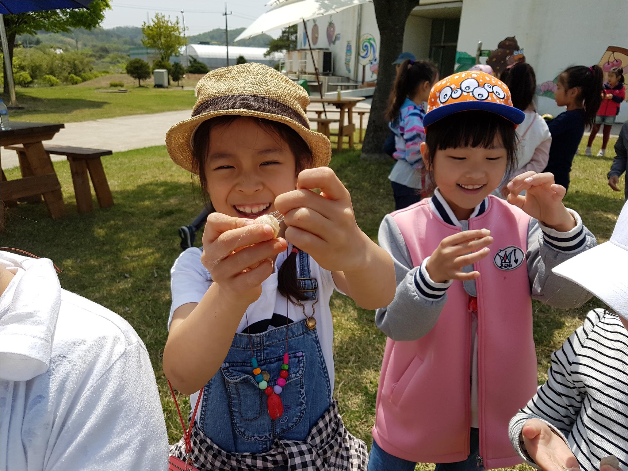 1학기 현장체험학습(비단실 뽑기 체험)