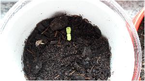 20170414_153442.jpg