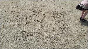 20170413_111125.jpg