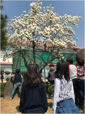 20170406080434.jpg