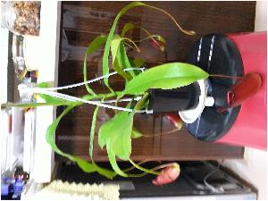 20170424_200040[1].jpg