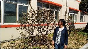 IMG_20170410_134526.jpg
