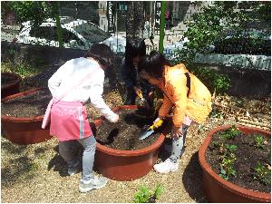 20170428_124547.jpg