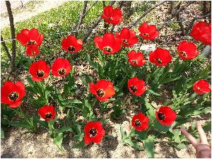 20170413_125038.jpg