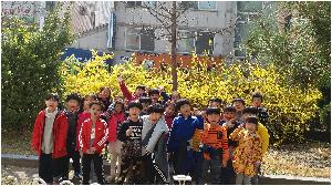 20170403_105313.jpg