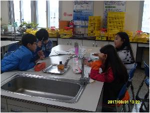 SDC13553.JPG