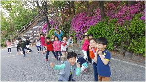 숲길1.jpg