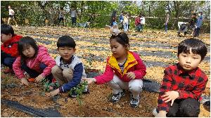 텃밭4.jpg