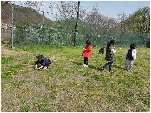 0412 벚꽃길 걷기 (67).jpg