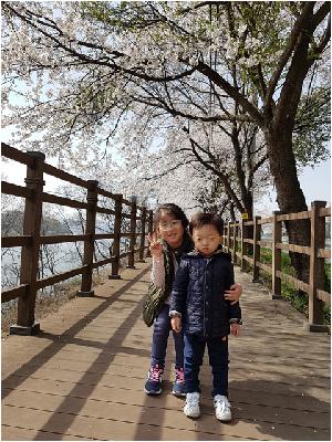 0412 벚꽃길 걷기 (27).jpg