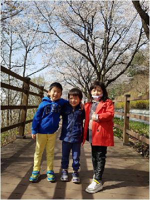 0412 벚꽃길 걷기 (14).jpg