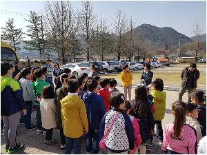 0412 벚꽃길 걷기 (3).jpg