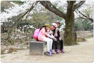 170418 법주사 (71).jpg