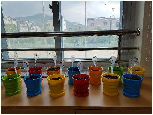 20170510_152452.jpg