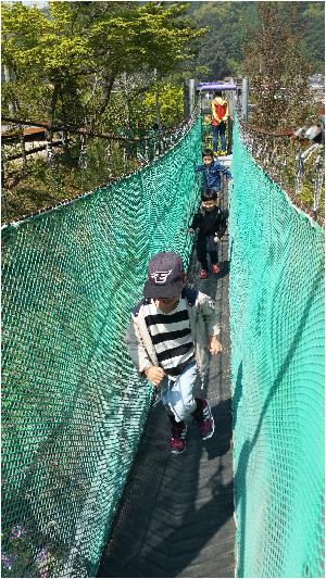 20170426_104741.jpg