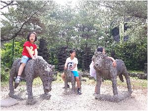 20170523_092039.jpg