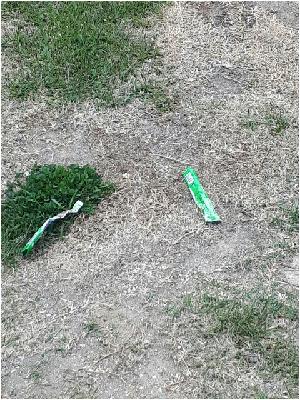 Resized_20170516_115219.jpg