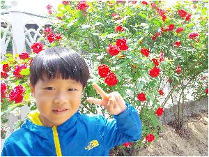 20170523_111159.jpg