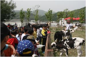 IMG_8894.JPG