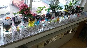 20170517_152844.jpg