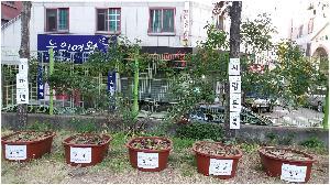 20170501_174305.jpg