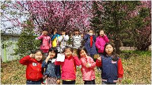 20170413_123651.jpg